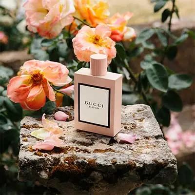 gucci bloom arenal|Gucci Bloom for women.